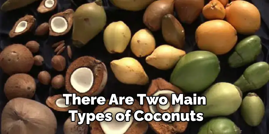 There Are Two Main  Types of Coconuts