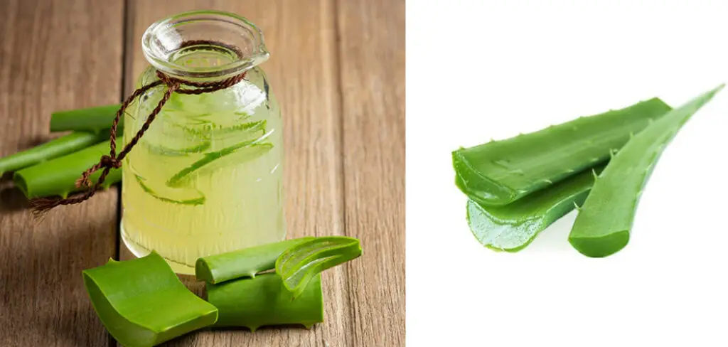 How to Make Aloe Vera Juice Taste Better
