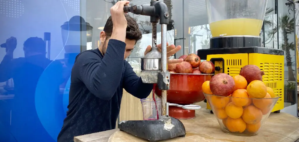 How to Juice Pomegranate Juicer