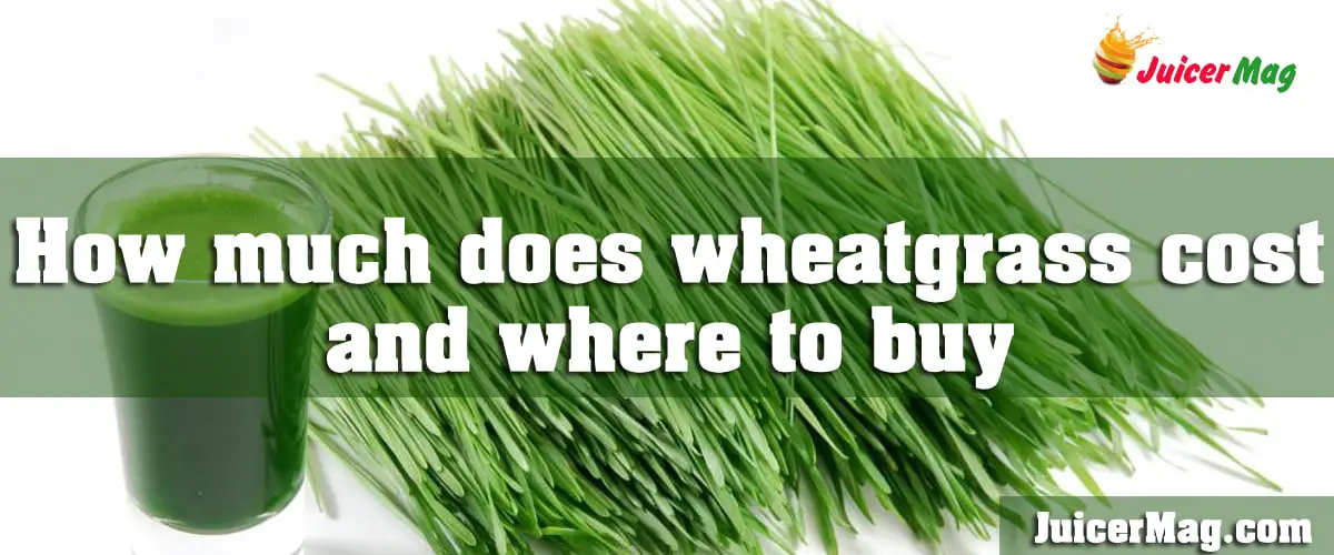 How Much Does Wheatgrass Cost And Where To Buy?