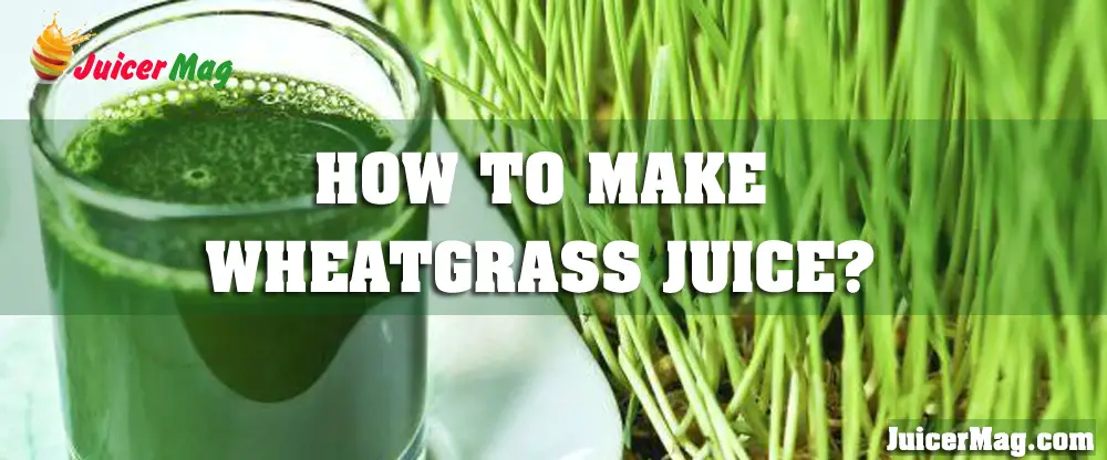 How To Make Wheatgrass Juice?