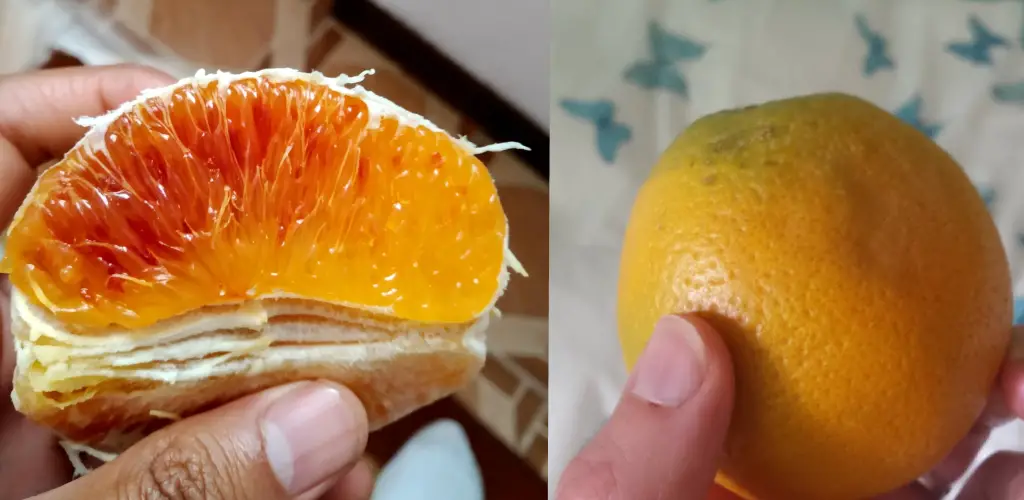How Do You Know When an Orange Is Bad