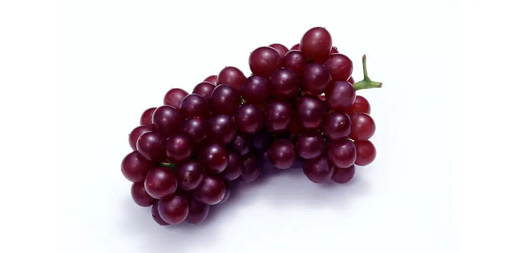 is grape juice a homogeneous mixture