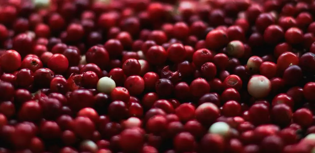 How to Make Cranberry Juice Taste Better for Uti