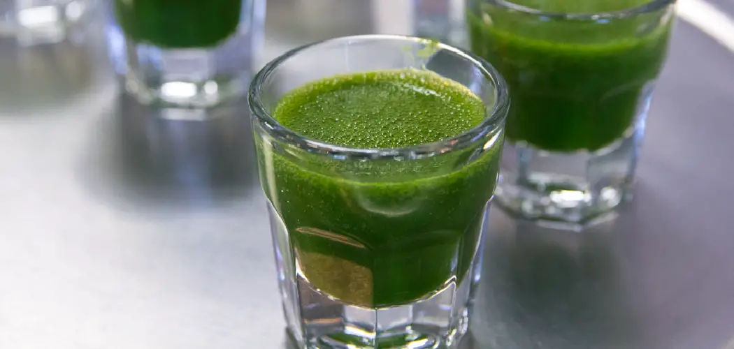 how to juice vegetables without a juicer