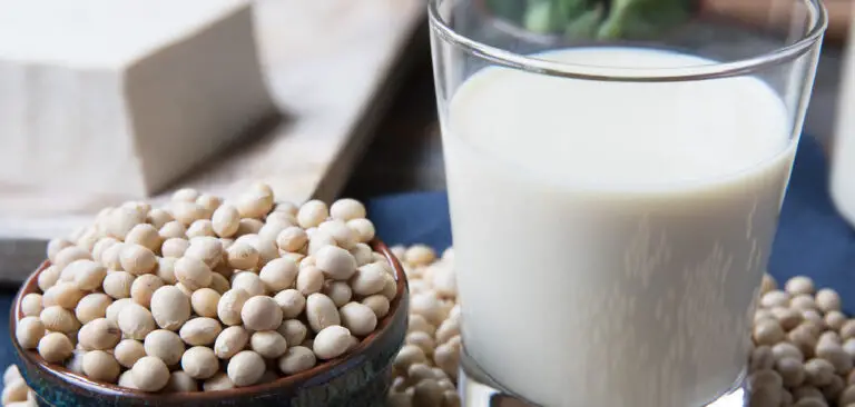 How to Make Soy Milk With a Juicer