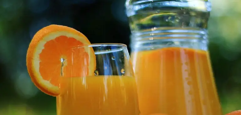 How to Freeze Fresh Orange Juice