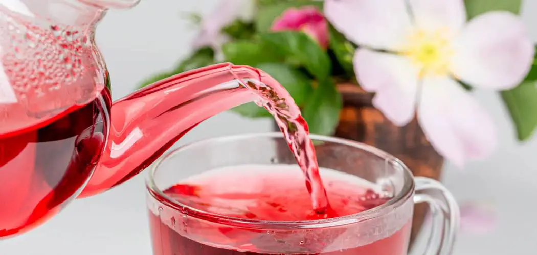 How to Make Hibiscus Juice
